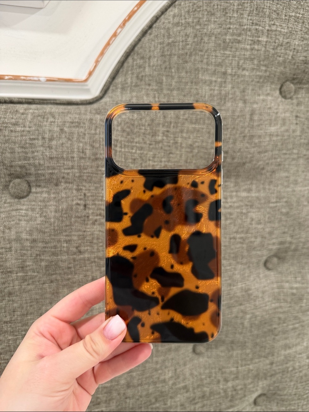 Tortoise iPhone 17 Pro Max Case